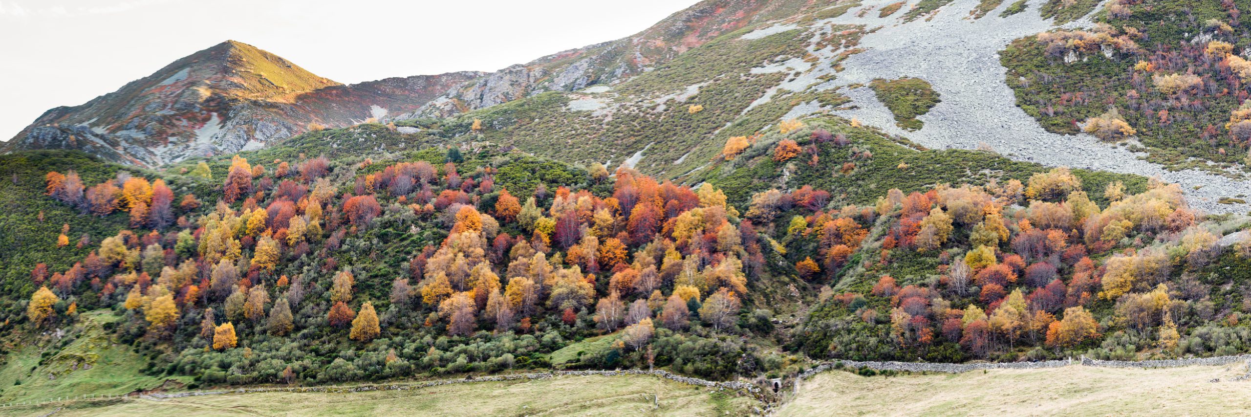 Escapadas otoño 2022