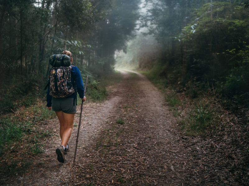 Guía para elegir tu mochila de Trail Running – Blog de Running de Forum  Sport