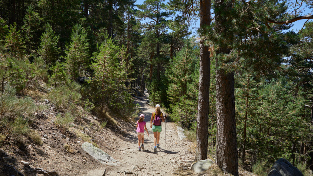 woman and girl hiking along a trail in a forest