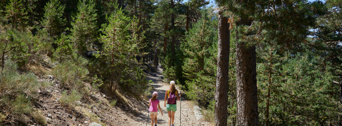woman and girl hiking along a trail in a forest