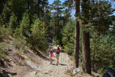 woman and girl hiking along a trail in a forest