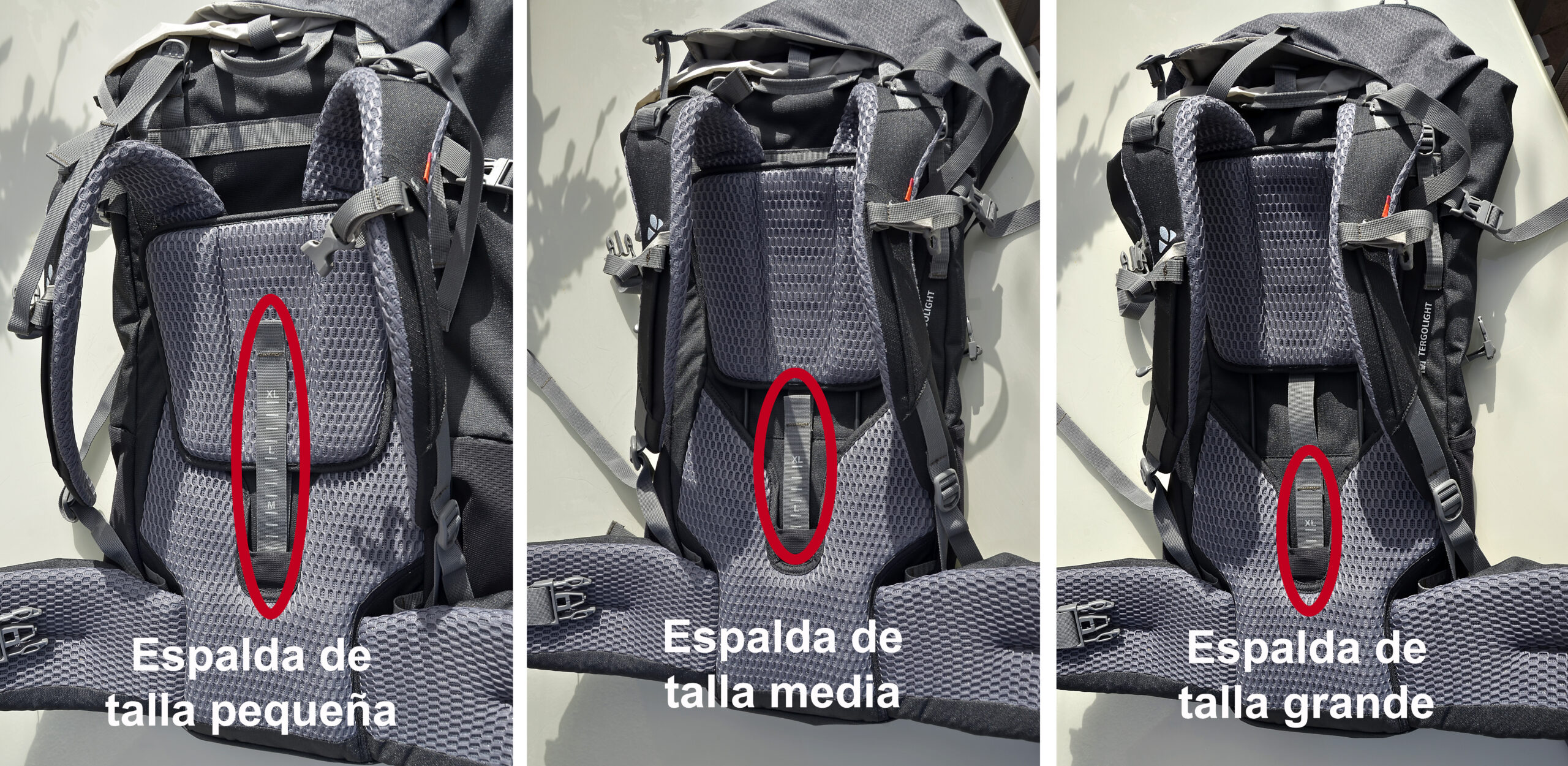 Adata la talla