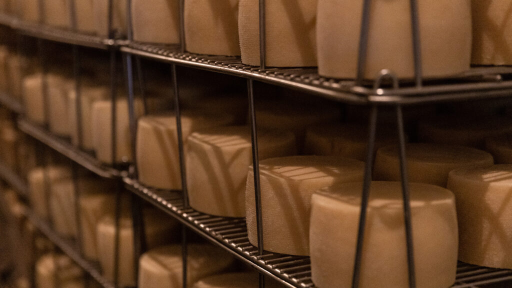La ruta del Queso Idiazabal