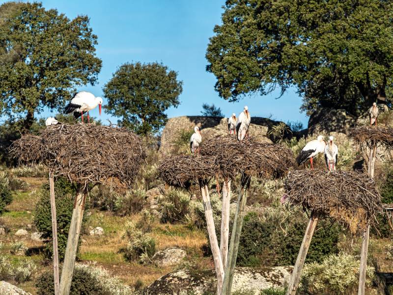 monumentos naturales en España