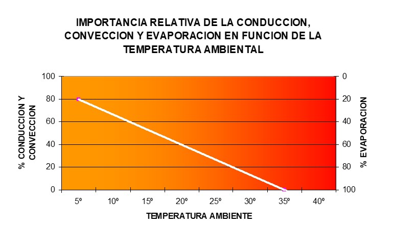 sudor en la montaña en hombres y mujeres