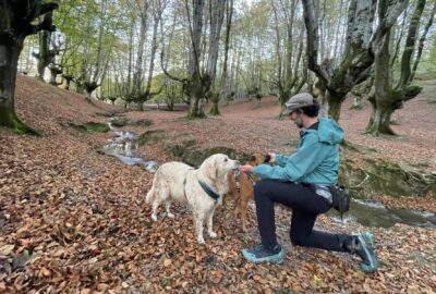 mejores zapatillas de trekking para el otoño