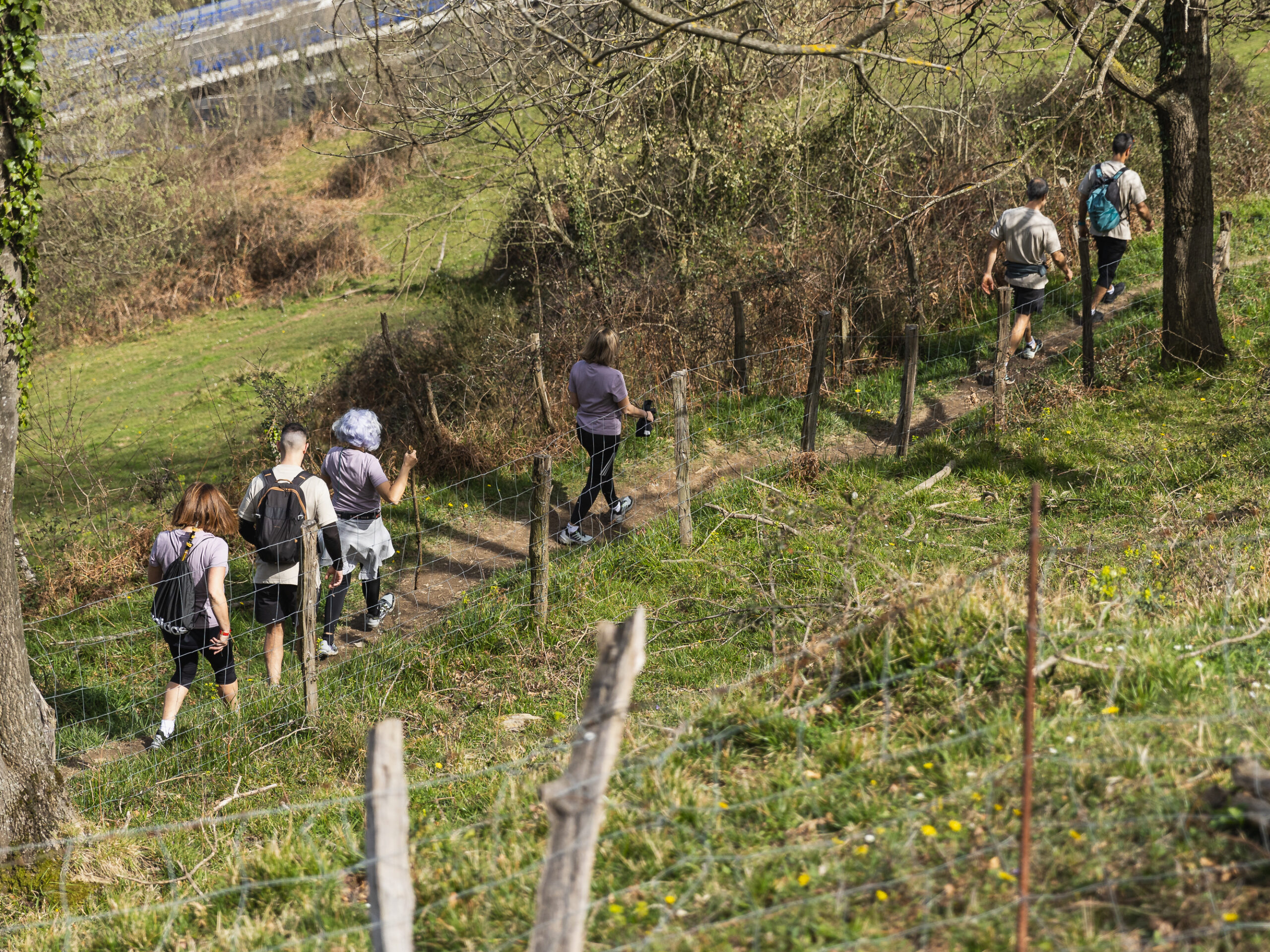 cuidar las articulaciones en la montaña