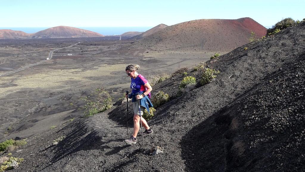 portada articulaciones