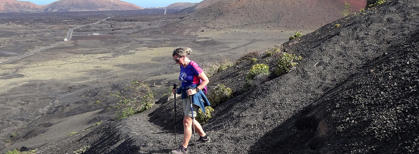 portada articulaciones