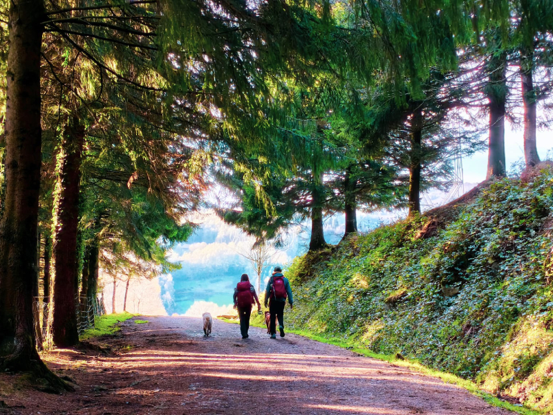 adidas Terrex Skychaser Ax5 GTX