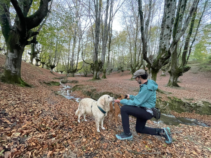 adidas Terrex Skychaser Ax5 GTX