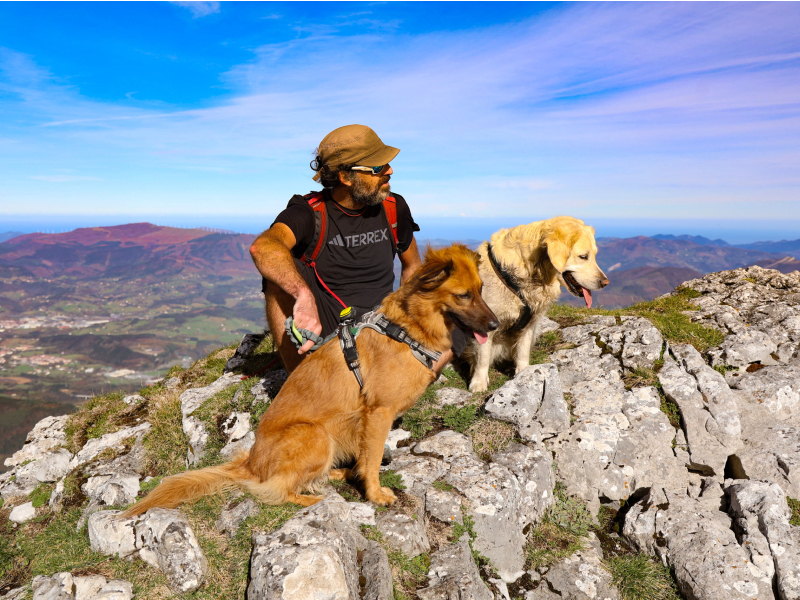 adidas Terrex Skychaser Ax5 GTX