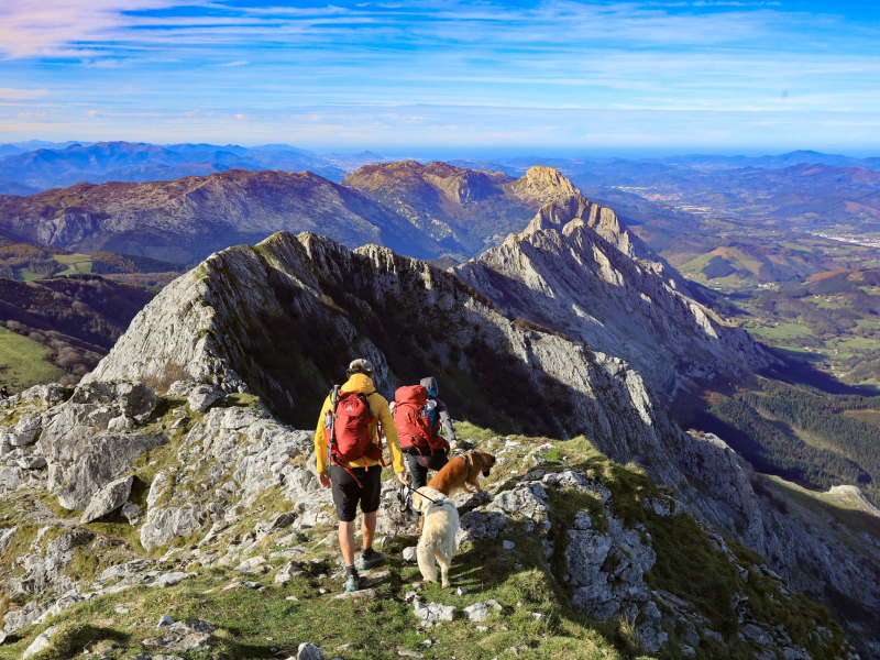 adidas Terrex Skychaser Ax5 GTX