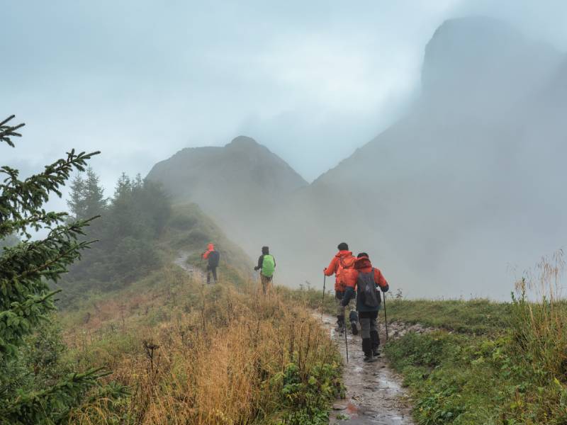 niebla en la montaña