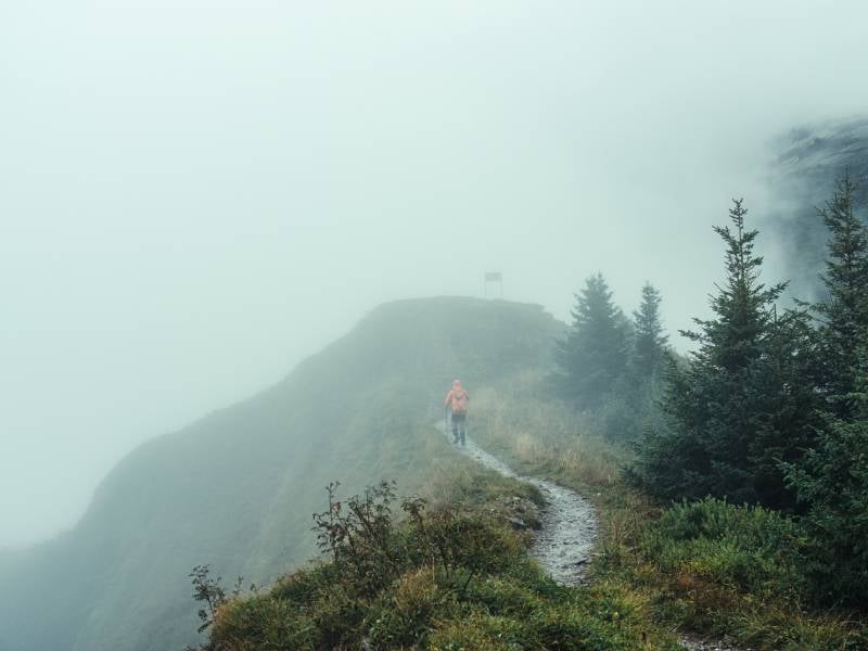 niebla en la montaña