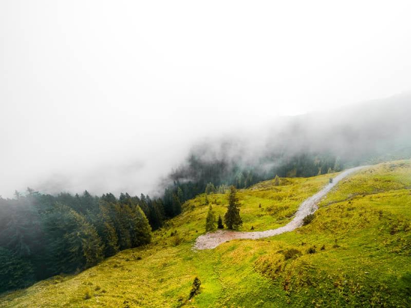 niebla en la montaña