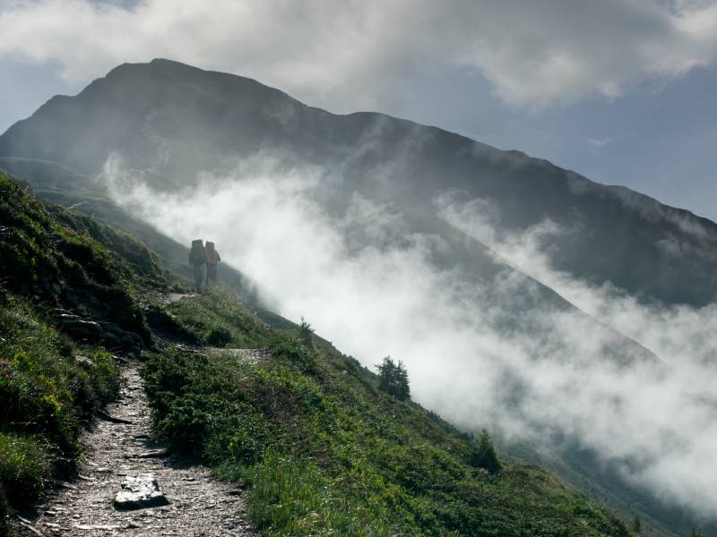 niebla en la montaña