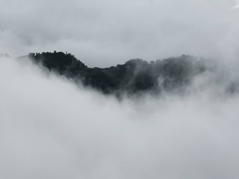 niebla en la montaña