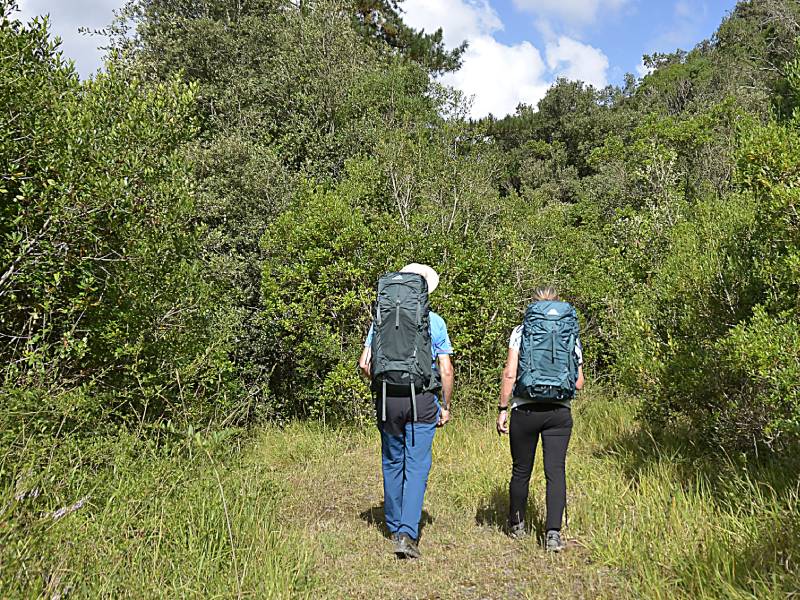 errores a evitar con los bastones de trekking