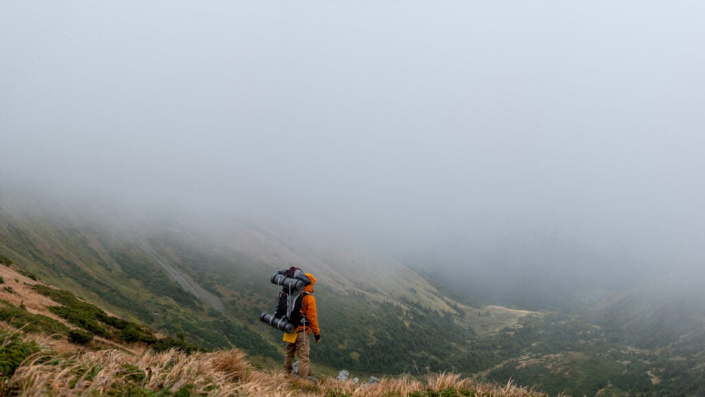 niebla montana portada