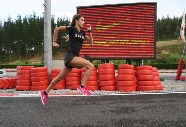 Pegasus 34