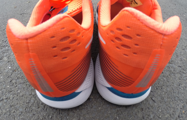 Pegasus 34