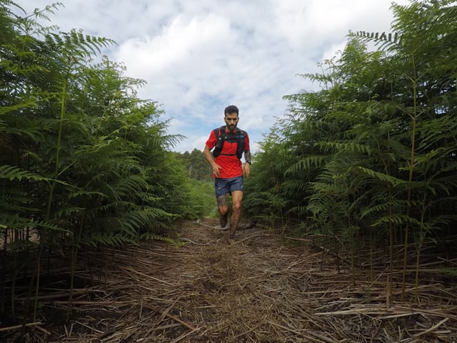 ¿Qué pasa si estoy una semana sin entrenar?