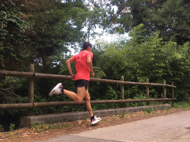 fartlek