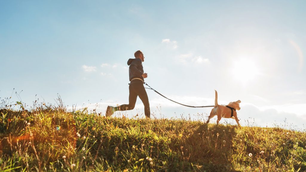 canicross running perro