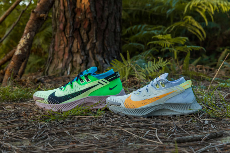 Nike Pegasus Trail 2