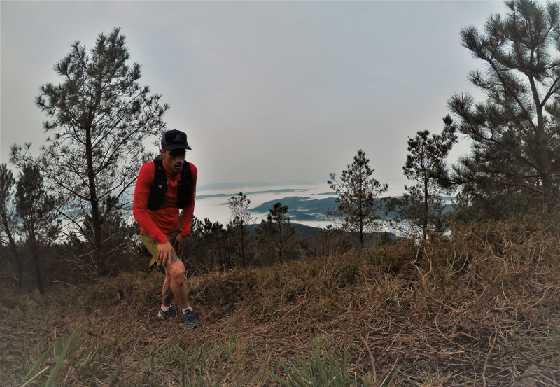 Salomon ACTIVE SKIN 8 SET 
