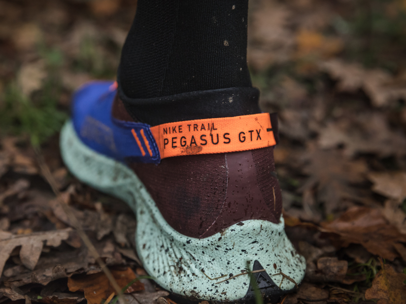 Nike Pegasus Trail 2 GORE-TEX