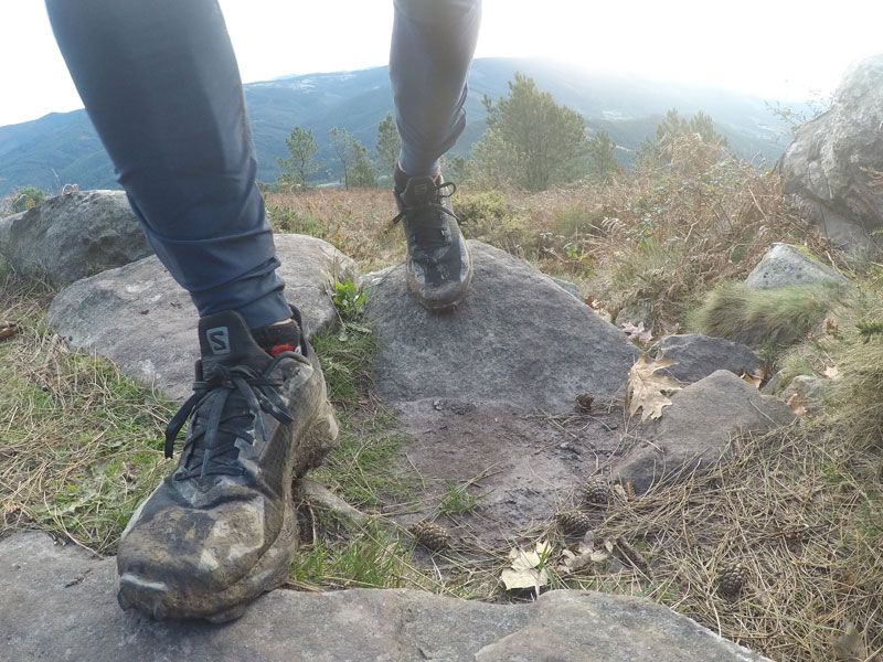 familia Cross de Salomon