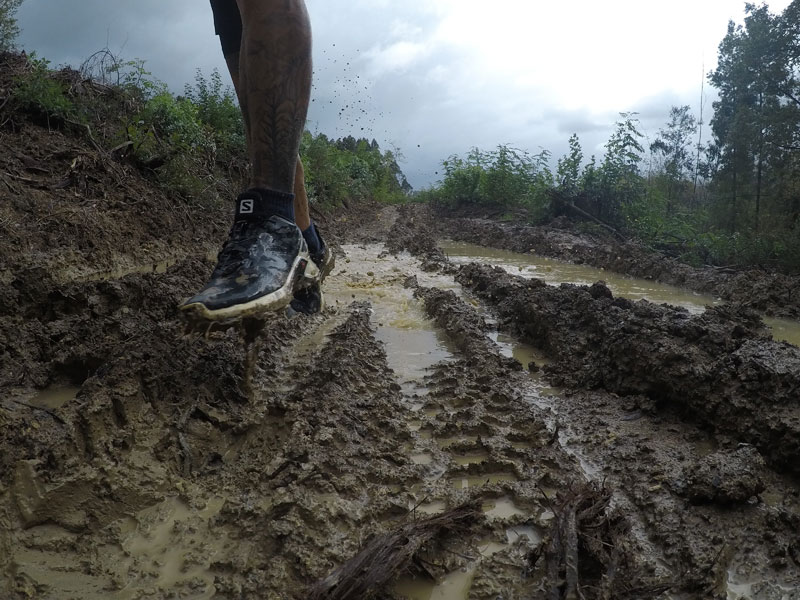 familia Cross de Salomon
