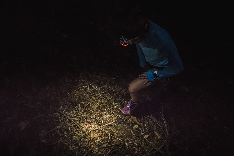 correr de noche
