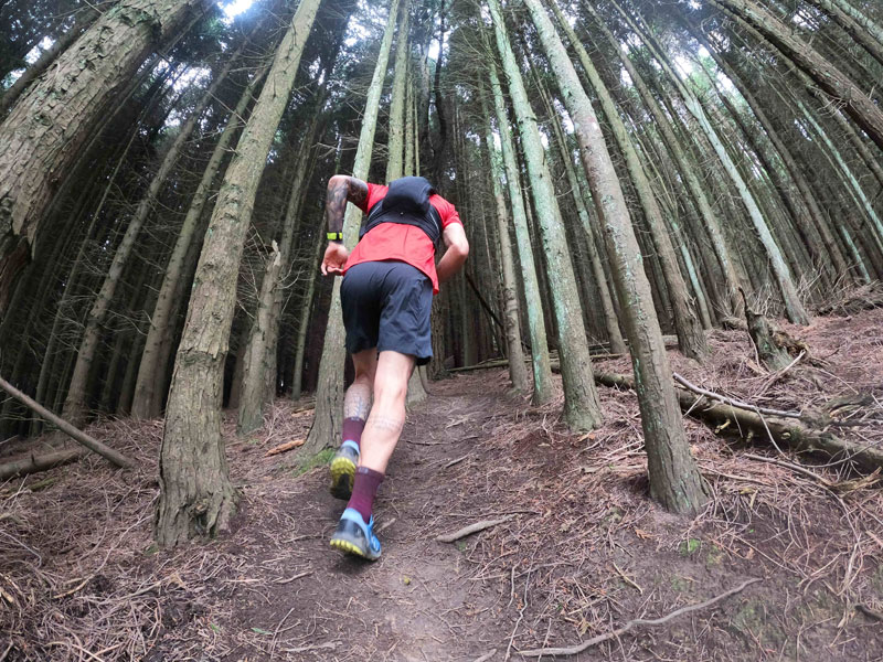 Salomon Sense Pro 10