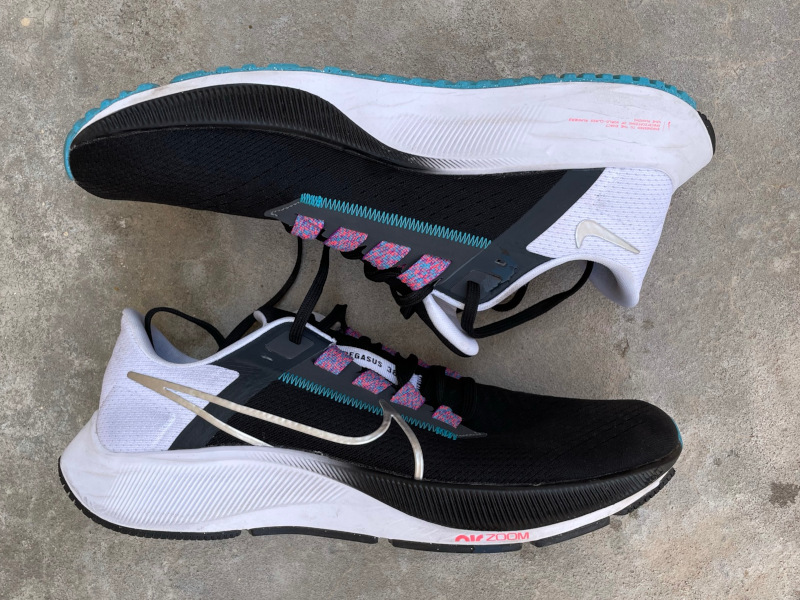 Pegasus 38