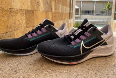 Pegasus 38