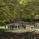 Zegama Salomon Camp