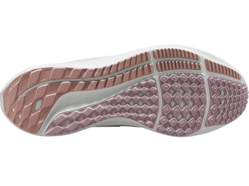 Pegasus 39