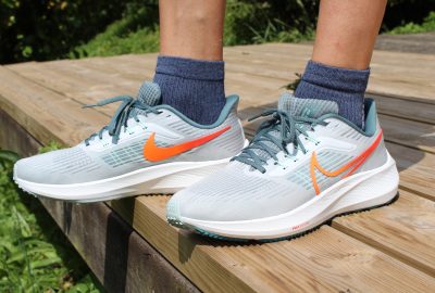 Pegasus 39