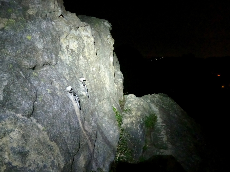 Petzl Actik Core 600