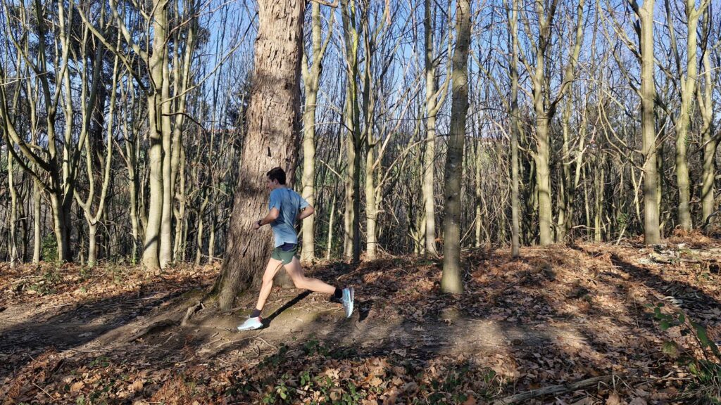 Nike Zegama Trail 2