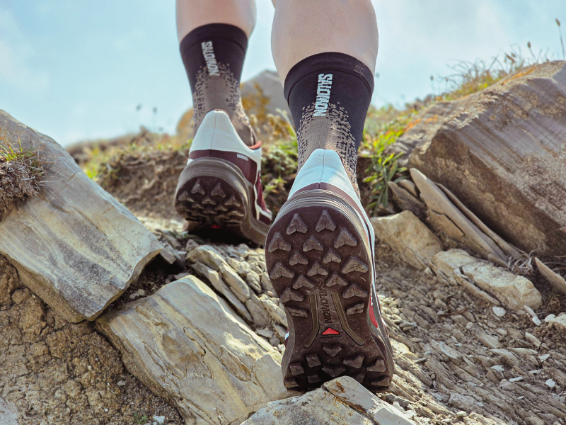 SALOMON GENESIS 2
