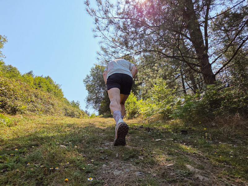 SALOMON GENESIS 2