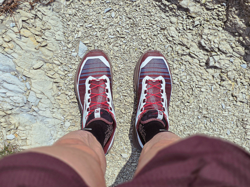 SALOMON GENESIS 2