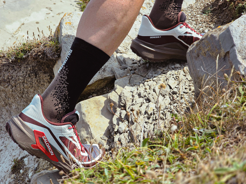 SALOMON GENESIS 2