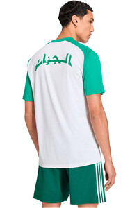 adidas camiseta de fútbol oficiales ARGELIA MUNDIAL 2026 PREMATCH BLANCO vista trasera