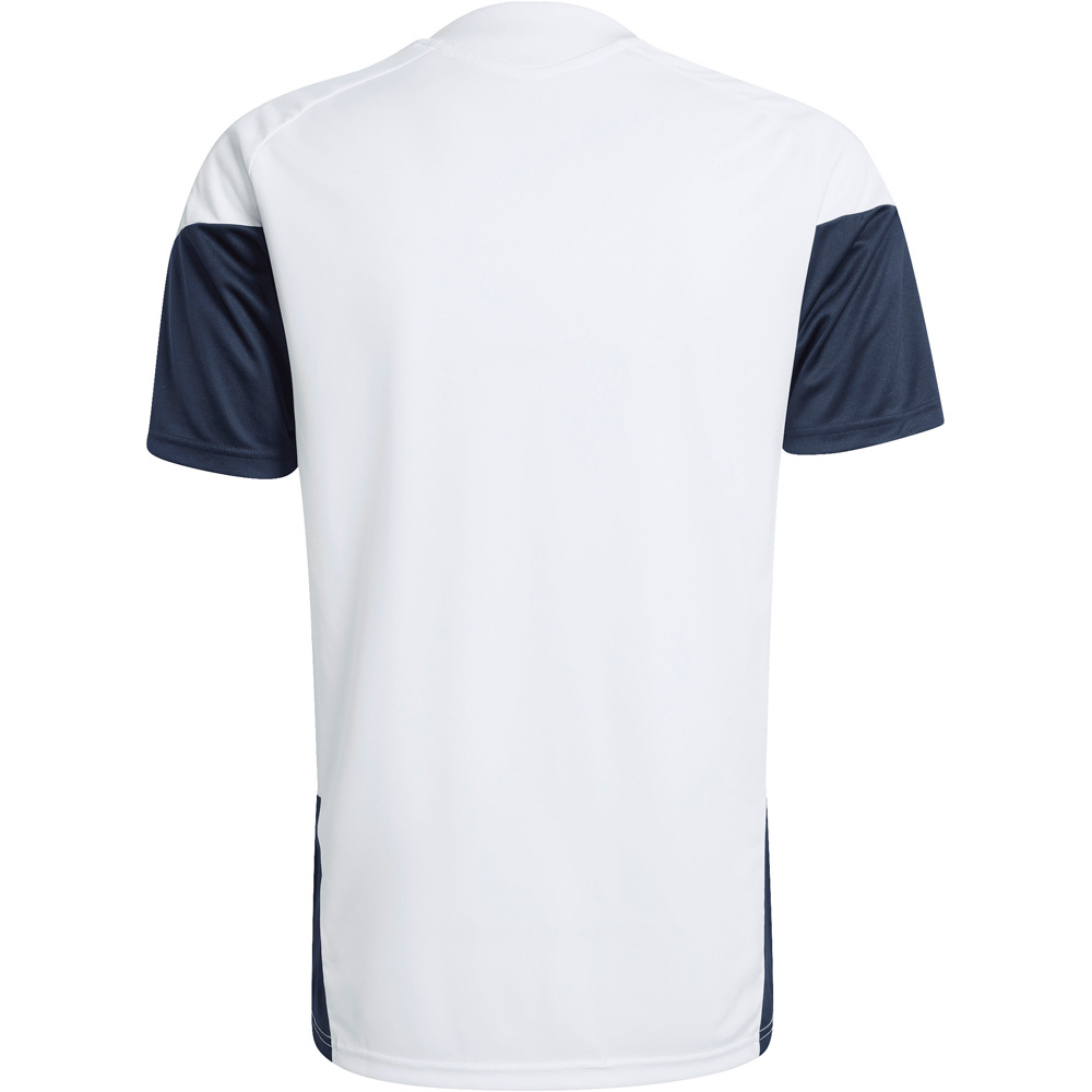 adidas camiseta de fútbol oficiales ARGENTINA MUNDIAL 2026 ENTRENAMIENTO  vista trasera