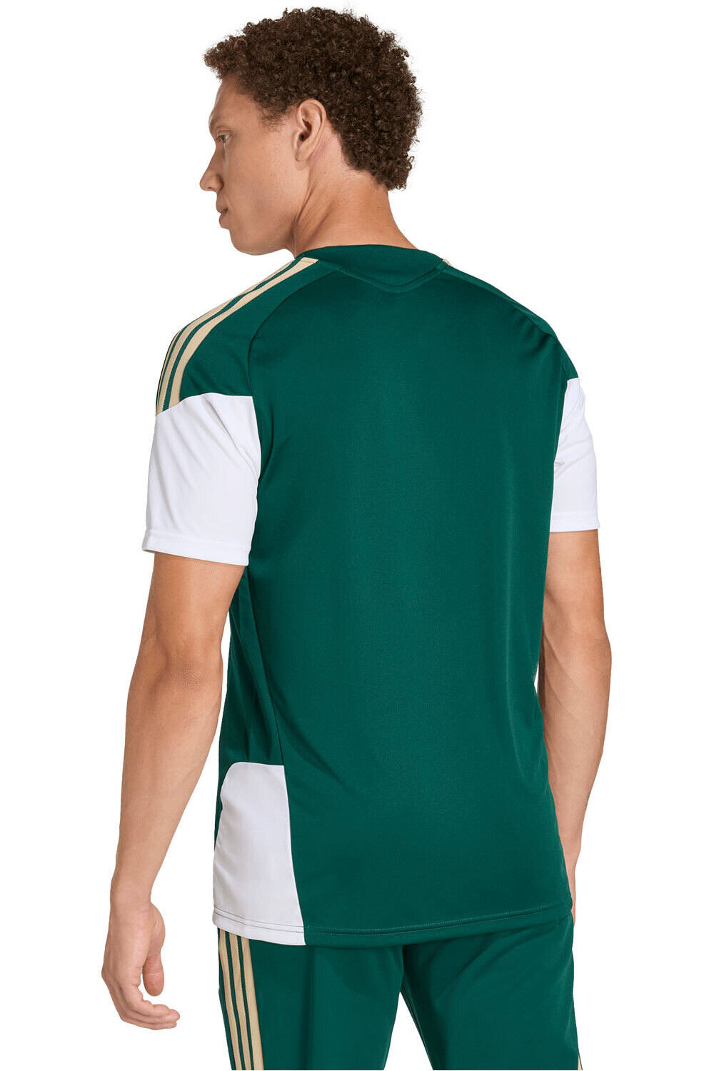 adidas camiseta de fútbol oficiales ITALIA MUNDIAL 2026 ENTRENAMIENTO VERDE vista trasera